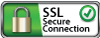 SSL Secure Socket Layers by Arrested Web Solutions badge