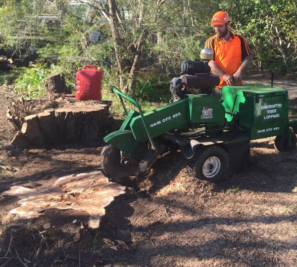 Chris from Energetic Tree Lopping grinding a stump